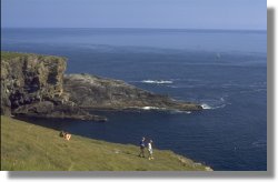 Mizen Head, Cork, Ireland