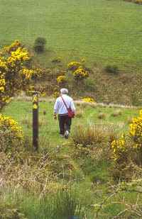 Wandern entlang dem Blackwater Weg