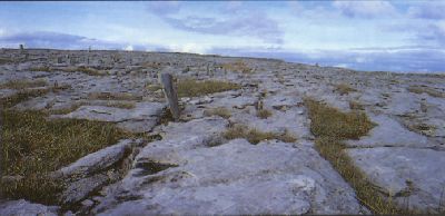 Der Burren