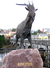 Killorglin